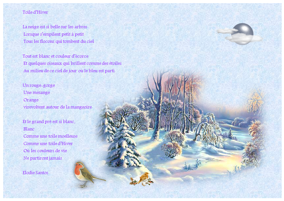 Poésie En Hiver La Terre Pleure